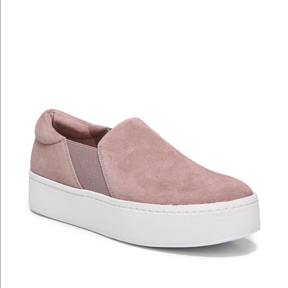 vince warren hydrangea